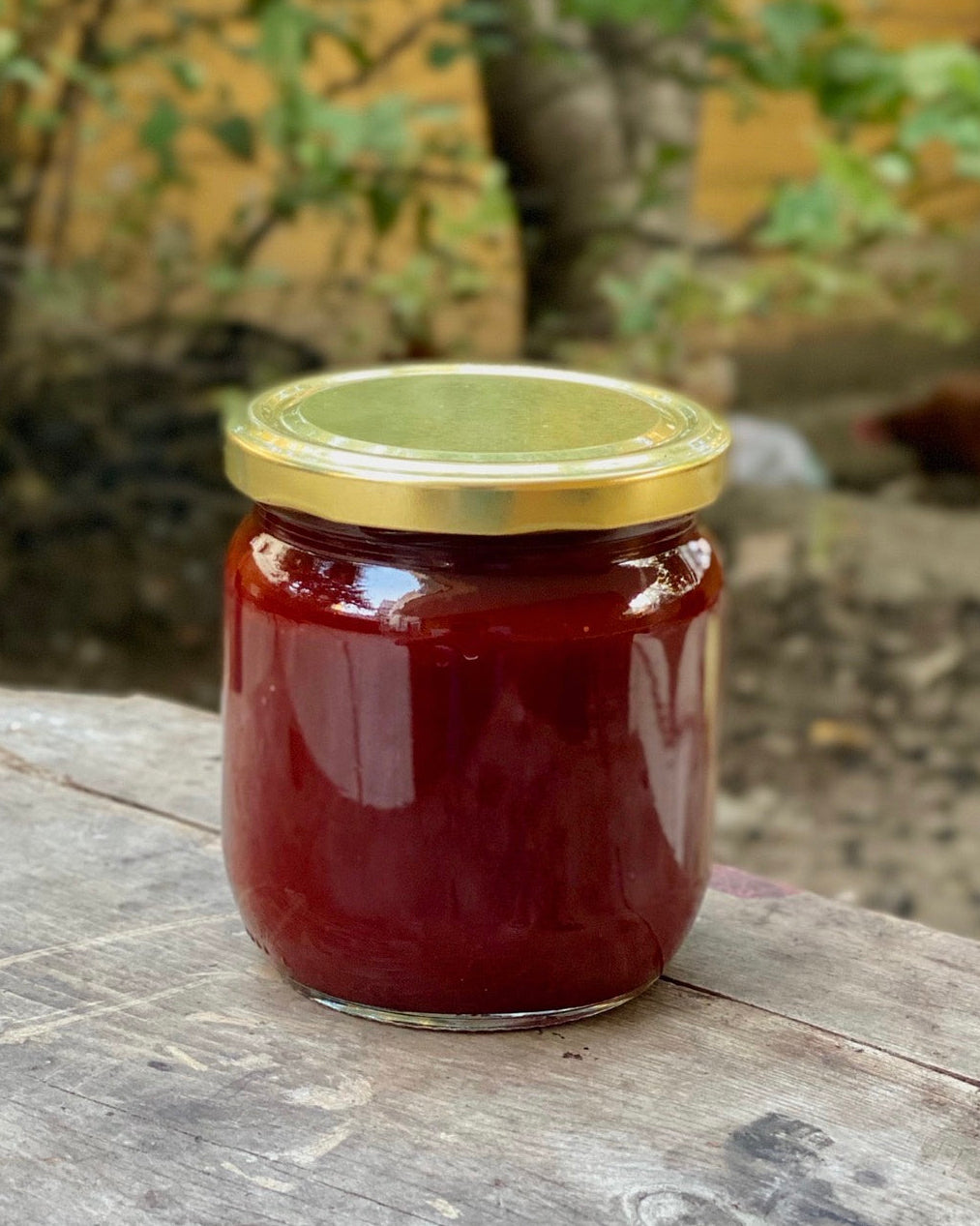 Kırmızı Erik Marmelat 450gr